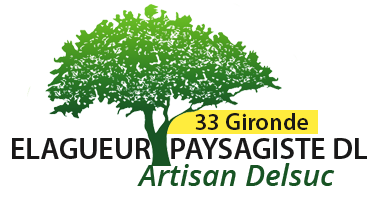 Artisan Debard 